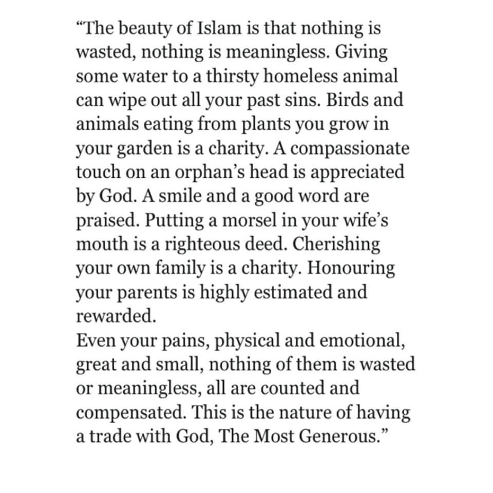 3FEfmaD 1 - The Beauty of Islam thread