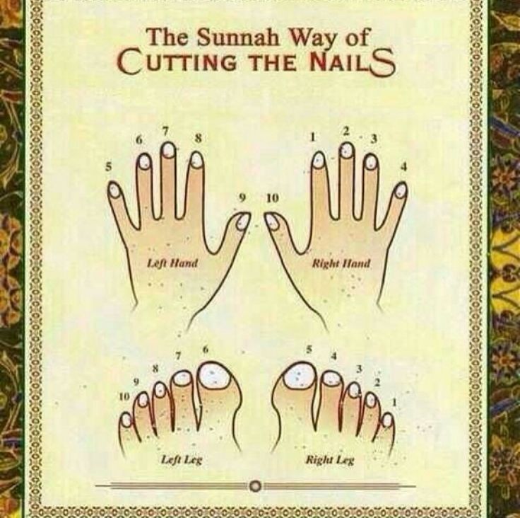 oXDIov6 1 - sunnah way to cut nails