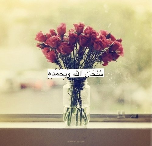 tumblr_mi50bscS631rhu2gao1_500-1.jpg