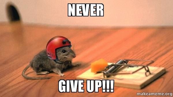 nevergiveupp5niz5-1.jpg