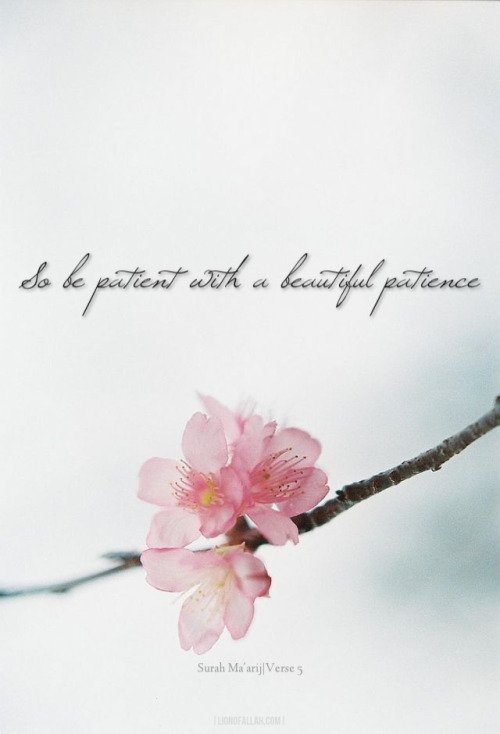 tumblr_mkysvpE0zC1rhu2gao1_500-1.jpg