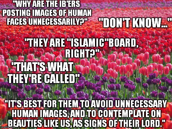 10pqop zpst548ee15 1 - IslamicBoard.com Memes