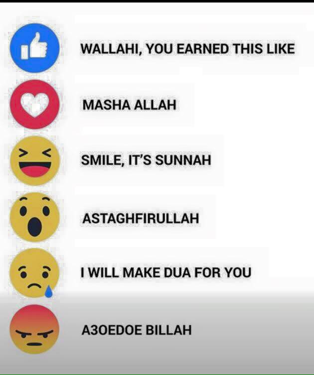 7ALwgWk-1.jpg