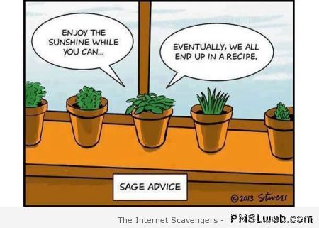 7sageadvicefunnycartoon 1 - How do you be a sage