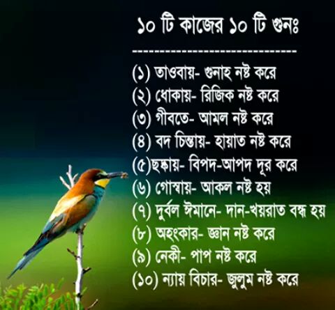 FcdXdQd 1 - Bangla Islamic Picture Quotes