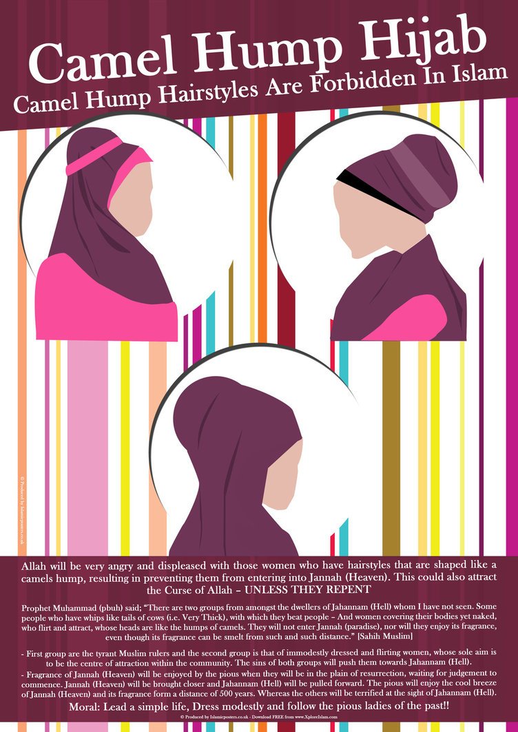 camel_hump_hijab_by_islamic_posters_by_b-1.jpg