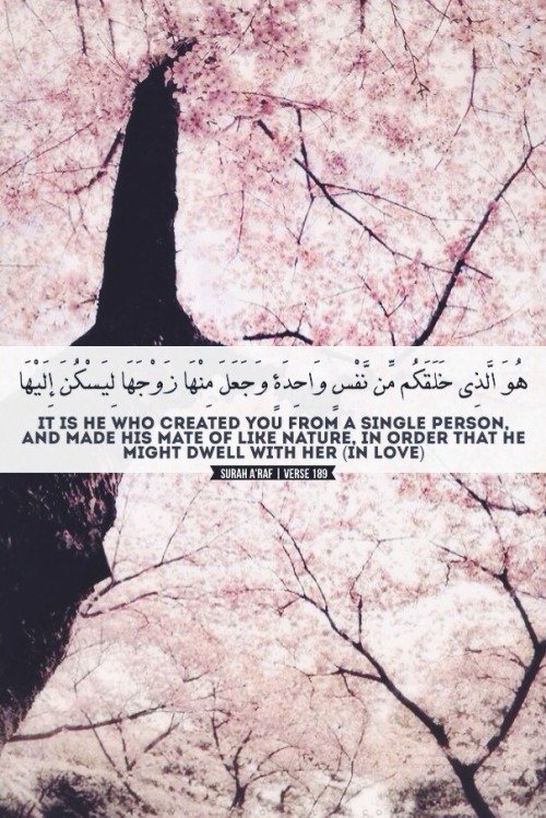 tumblr n27ea9PBjW1rhu2gao1 500 1 - Imaan Boosting Islamic Reminders