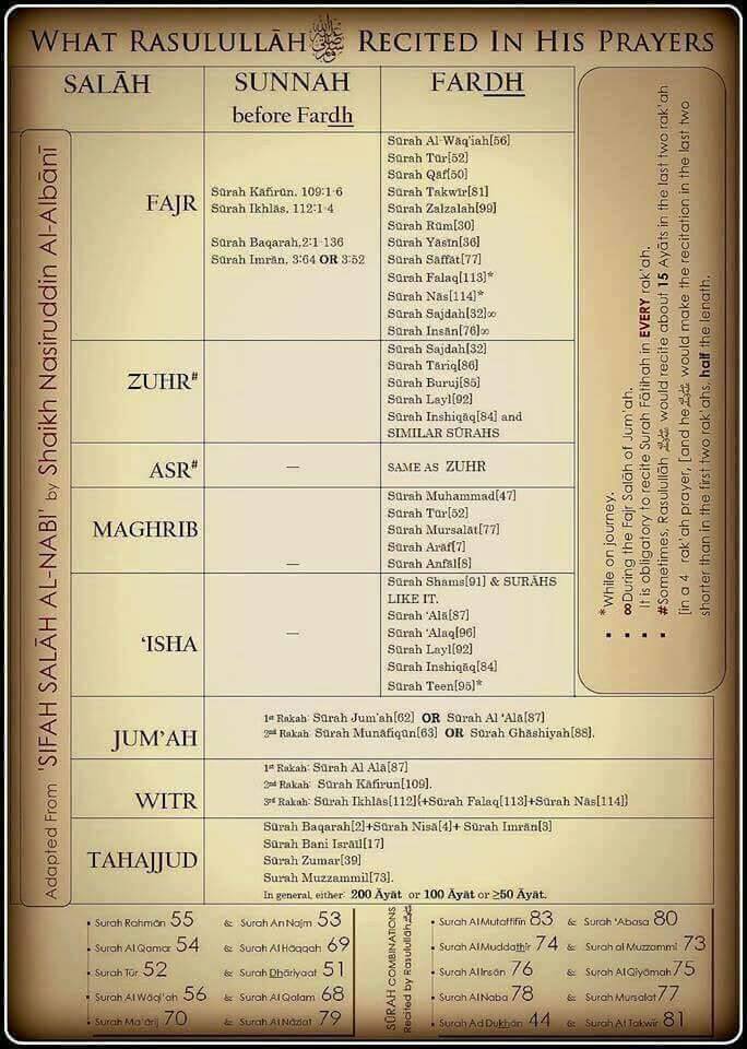 wWLCXTn 1 - [Infographic] - What Rasulullah ﷺ Recited in His Prayers