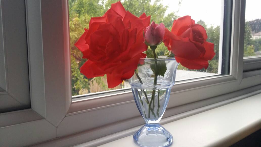 4575f5968f754178afa0d508917add1c-1.jpg