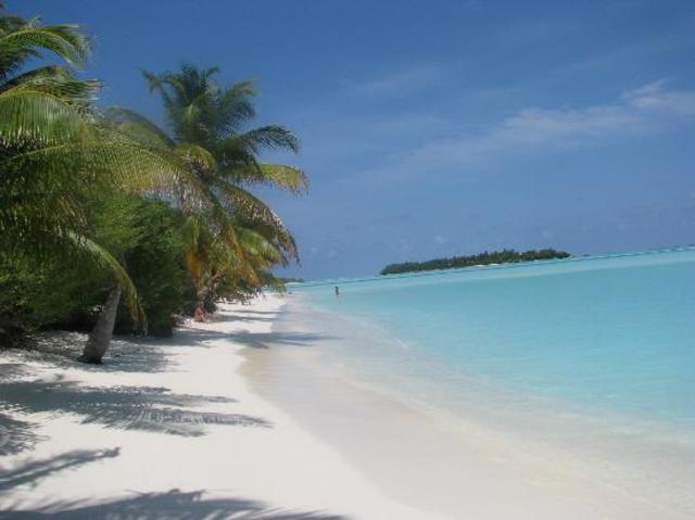 textbook_desert_island-1.jpg