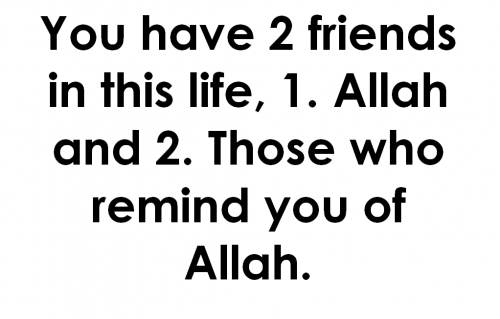tumblr_mkulwzcBfC1qapk2qo1_500-1.png
