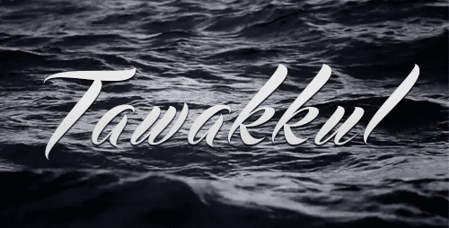 tumblr_muzk0qZZAO1sq86p0o1_500-1.gif