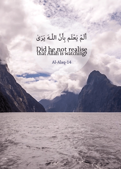 tumblr_n2dqizVnEP1qapk2qo1_500-1.gif