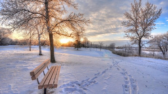 winter snow dawn footprints bench 101431 1 - Writing Challenge