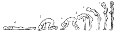 400pxDifferent_kinds_of_bows_in_eo-1.gif