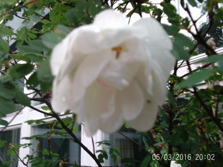 W1bRKgd-1.jpg
