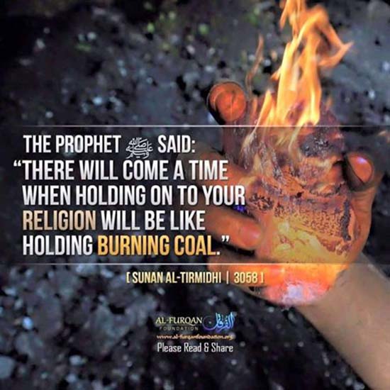 islamquotes-1.jpg