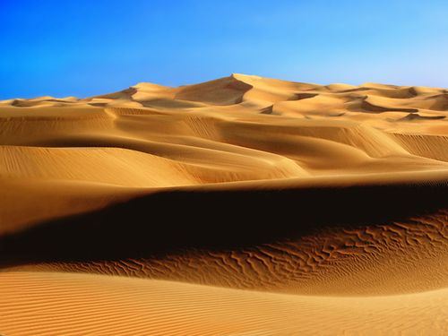 riveregypt2JPG-1.jpg