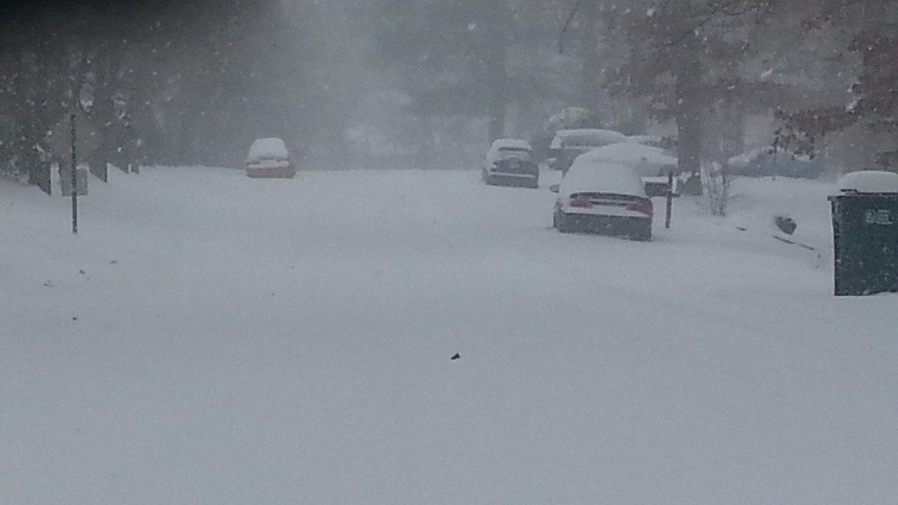 Pathway_of_snow-1.jpg