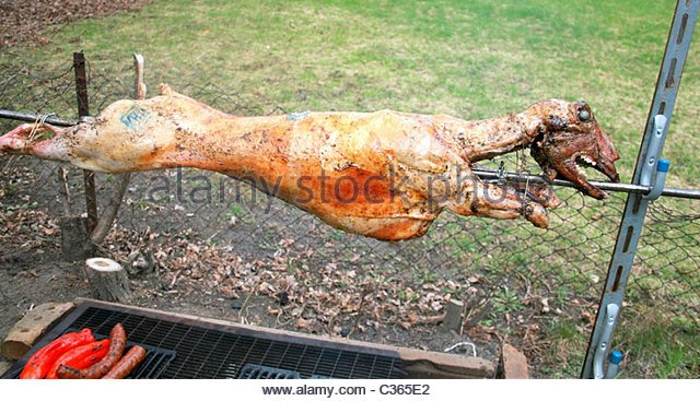 awholelambroastingonaspitforthegreekeast-1.jpg