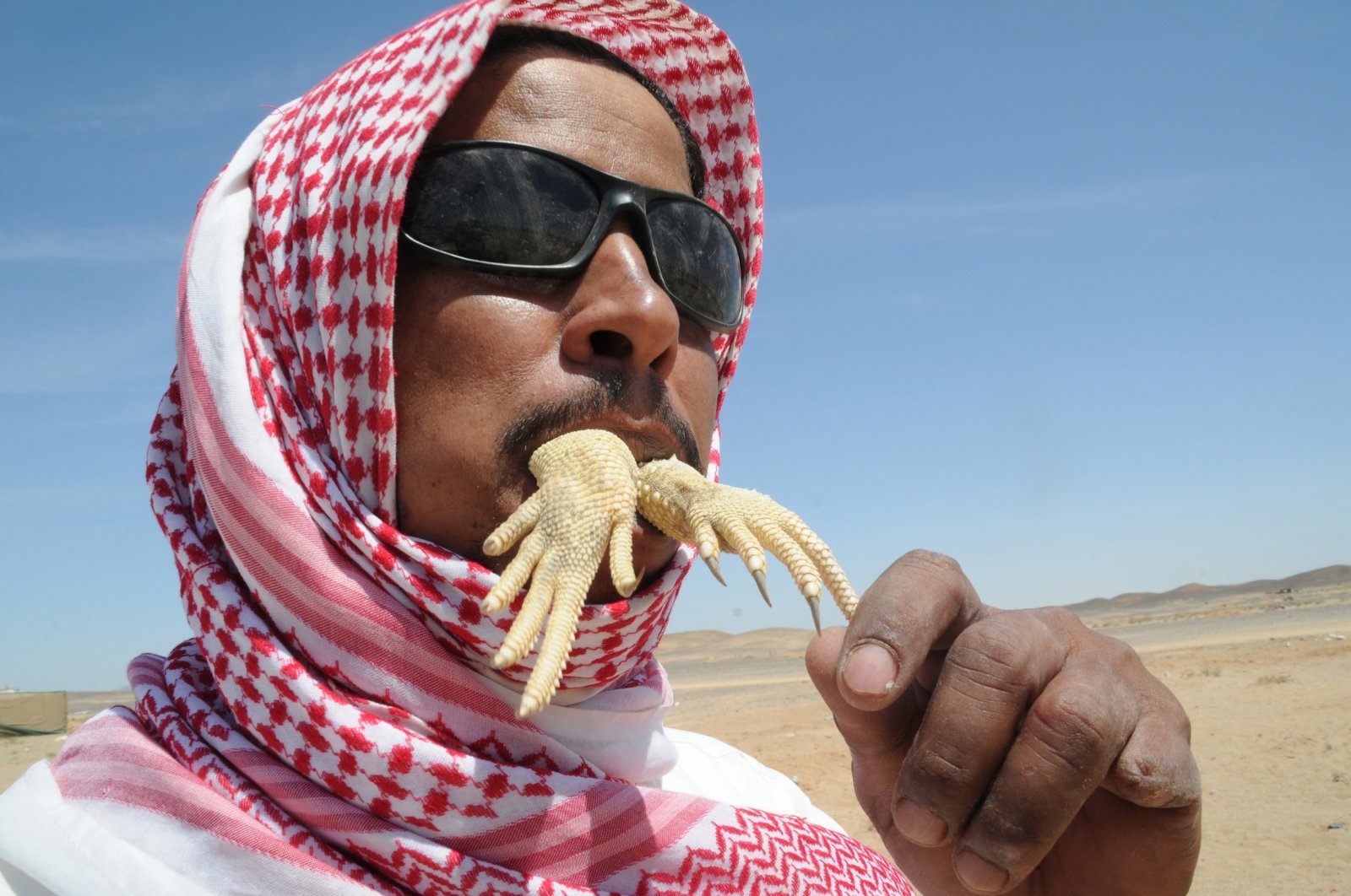 dabblizardsnack-1.jpg