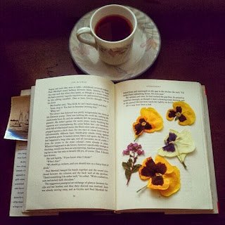 livro-1.jpg