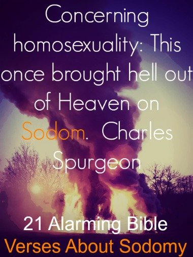 sodomyquote 1 - Bible verses about sodomy