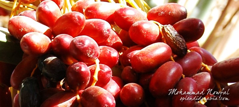 sweetdates-1.jpg