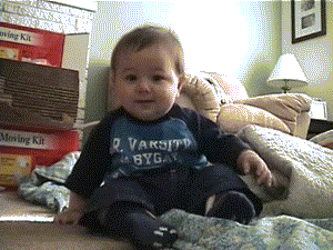 BabyLaughingHardandFallsOver-1.gif