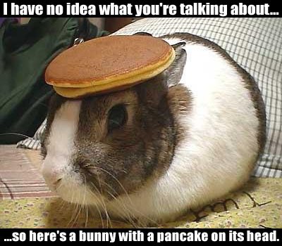 pancake_bunny-1.jpg