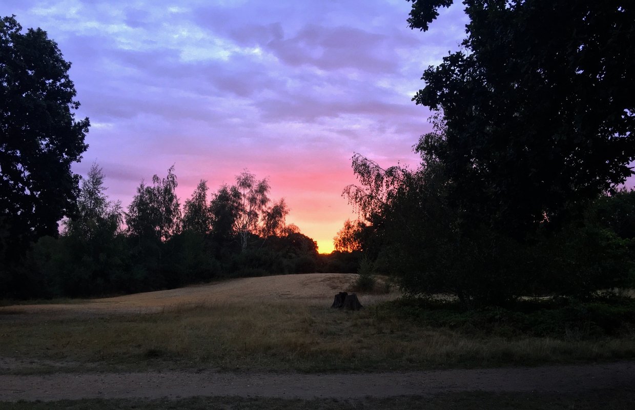 sunset_new-1.jpg