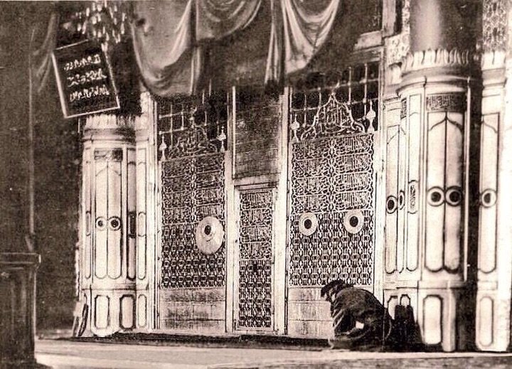 Rawda24-1.jpg