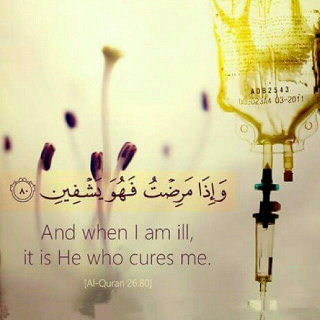 3ad0a30bb0b771896e3c6453315a9697 1 - Can you make qur'an you're whatsapp dp??