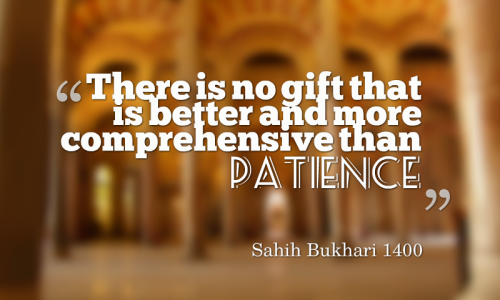 Nogiftbetterthanpatiencehadith500x300 1 - Beautiful Quotes, Proverbs, Sayings