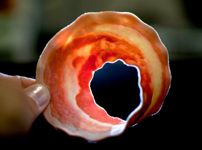 mobiusbaconfromShapeways3dprinter-1.jpg