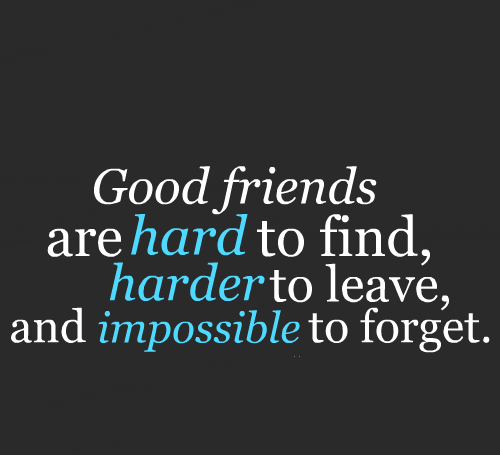 192781friendshipgoodfriendsquotes-1.jpg