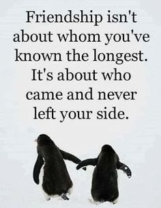 7aba32585f0cdb2fad2c4c3c7d3b2e30-1.jpg