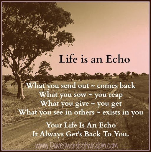 Lifeisanecho252822529-1.jpg