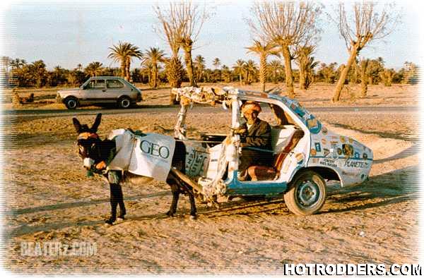 16028donkey_power-1.jpeg