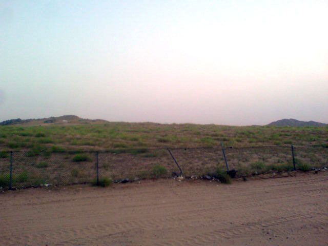 2side-1.jpg