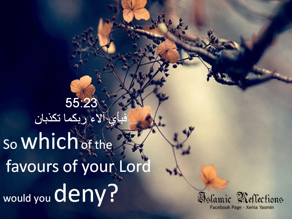 quran051011-1.jpg