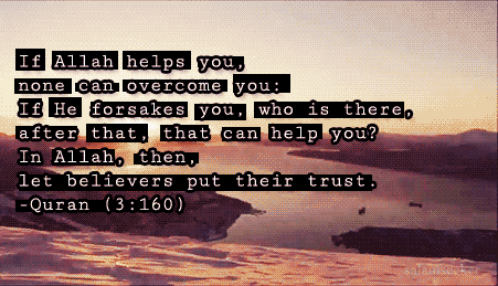 tumblr_mnlelpWH401qapk2qo1_500-1.gif
