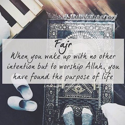 fba3cfe667a8c5c67ff6ec38b0ca083b-1.jpg