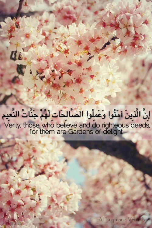 tumblr mft5dodbpT1rhu2gao1 500 1 - Imaan Boosting Islamic Reminders