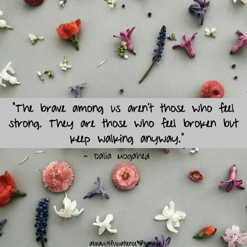 tumblr_o6fxw0HTnX1tdalj2o1_500-1.jpg