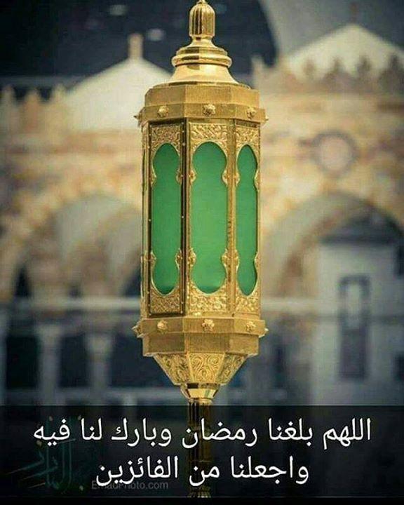 18622689 10155458485148094 6404628490036 1 - Haramain pictures