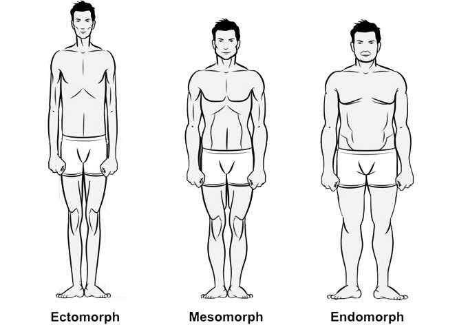 bodytypes-1.jpg