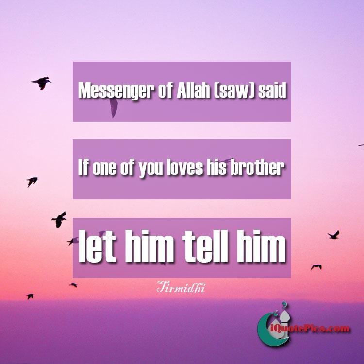 lovebrothertellhimiquotepicscomjpgresize-1.jpg