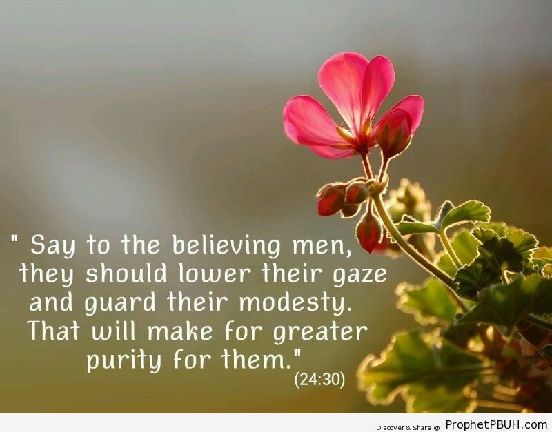 quran2430islamicquotesaboutmodestyandlow-1.jpg