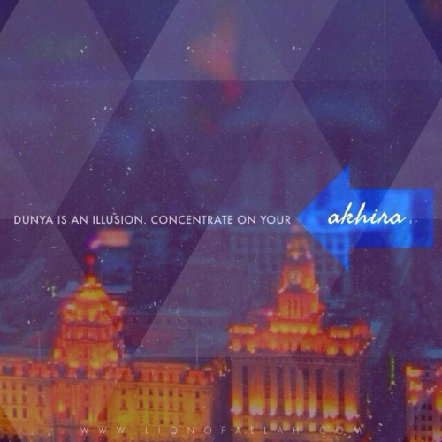 tumblr_nbh9vdcJqv1rhu2gao1_500-1.jpg